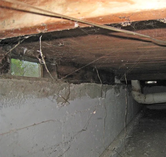 Crawl Space Water Extraction in Marsing, ID