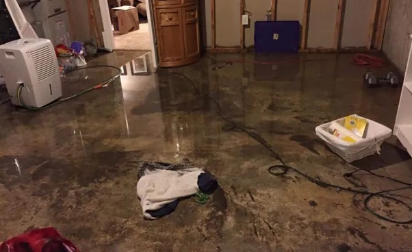 Same Day Water Removal in Marsing, ID