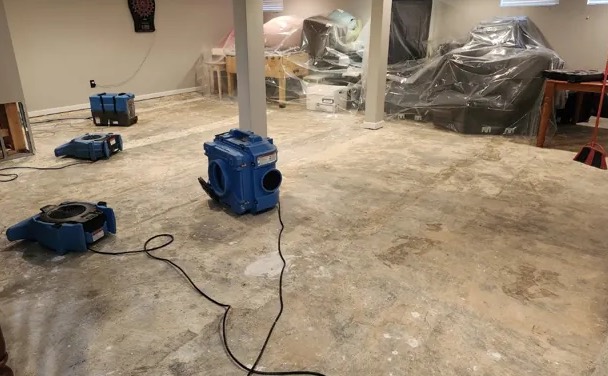 Deodorization Services in Marsing, ID
