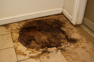 Subfloor Water Damage Repair